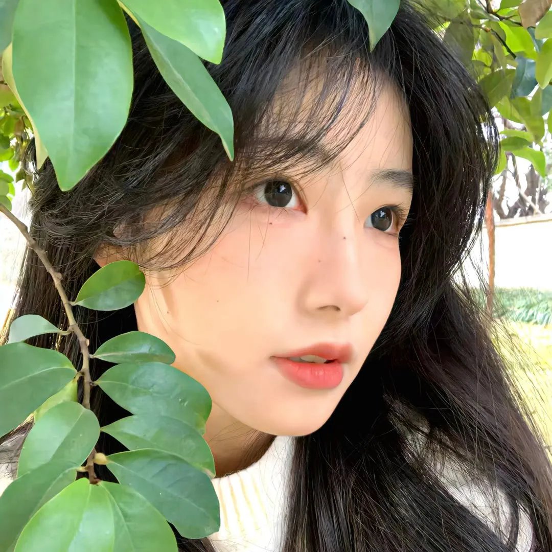 直言真相第三季